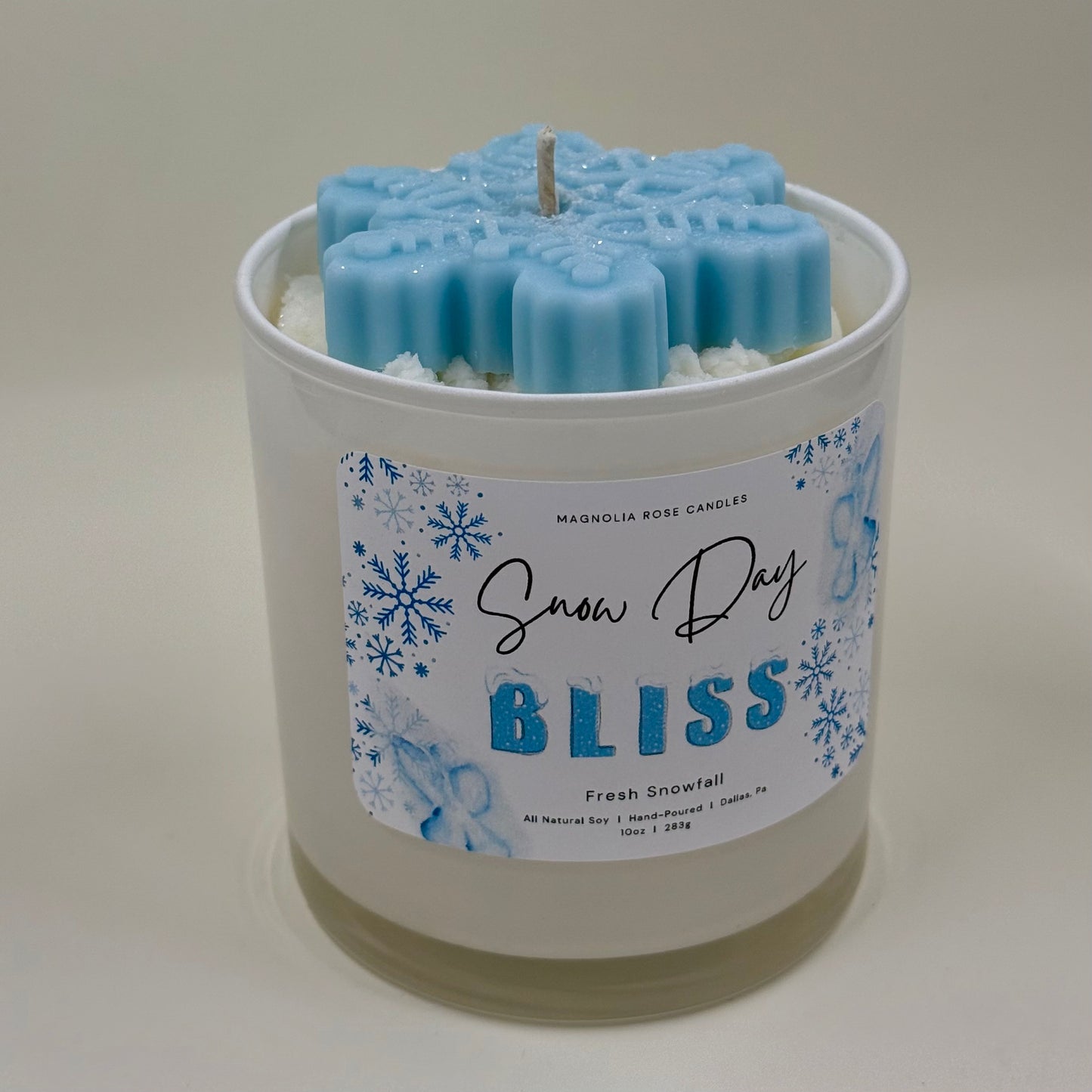 “Snow Day Bliss” - Fresh Snowfall