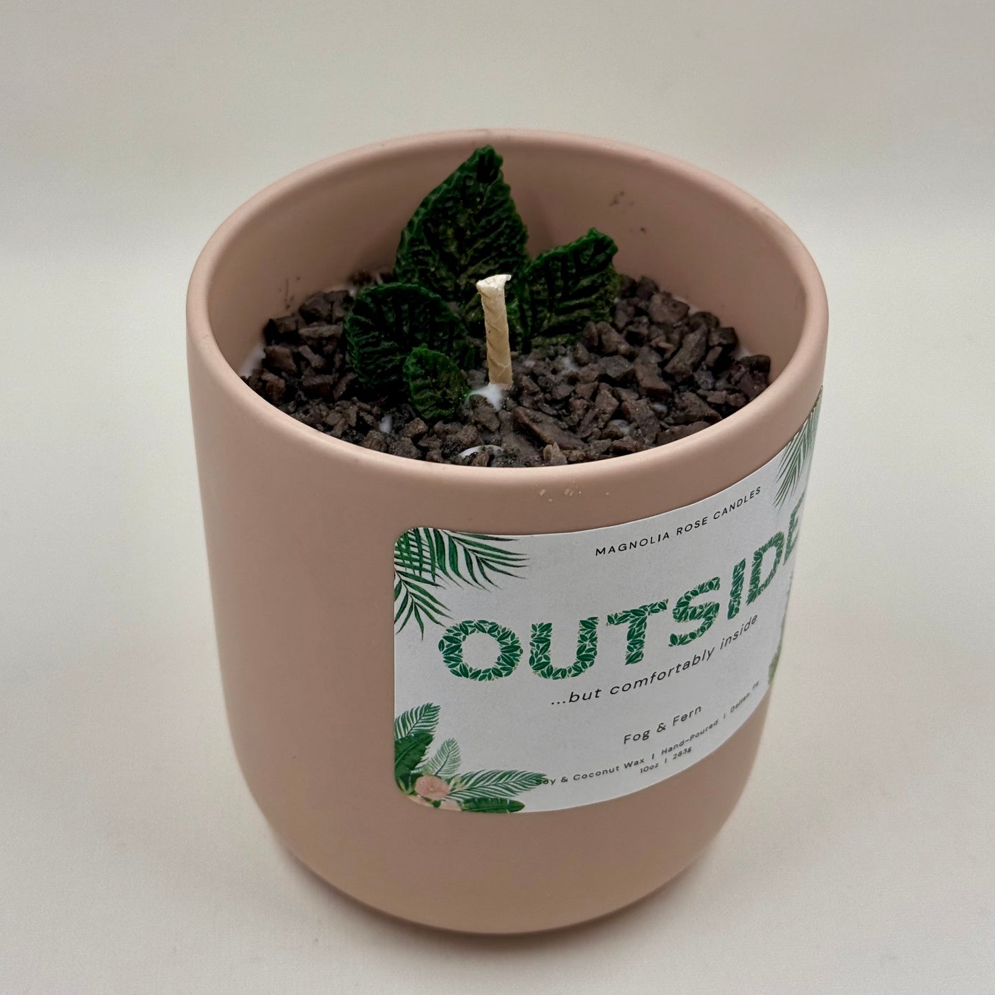 Outside…but Comfortably inside - Fog & Fern