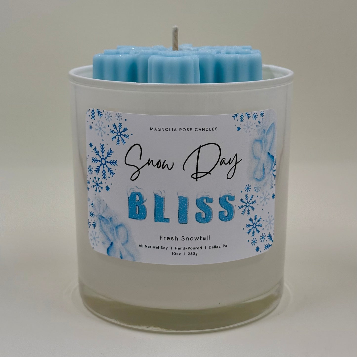 “Snow Day Bliss” - Fresh Snowfall