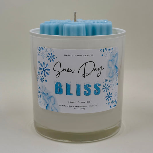 “Snow Day Bliss” - Fresh Snowfall