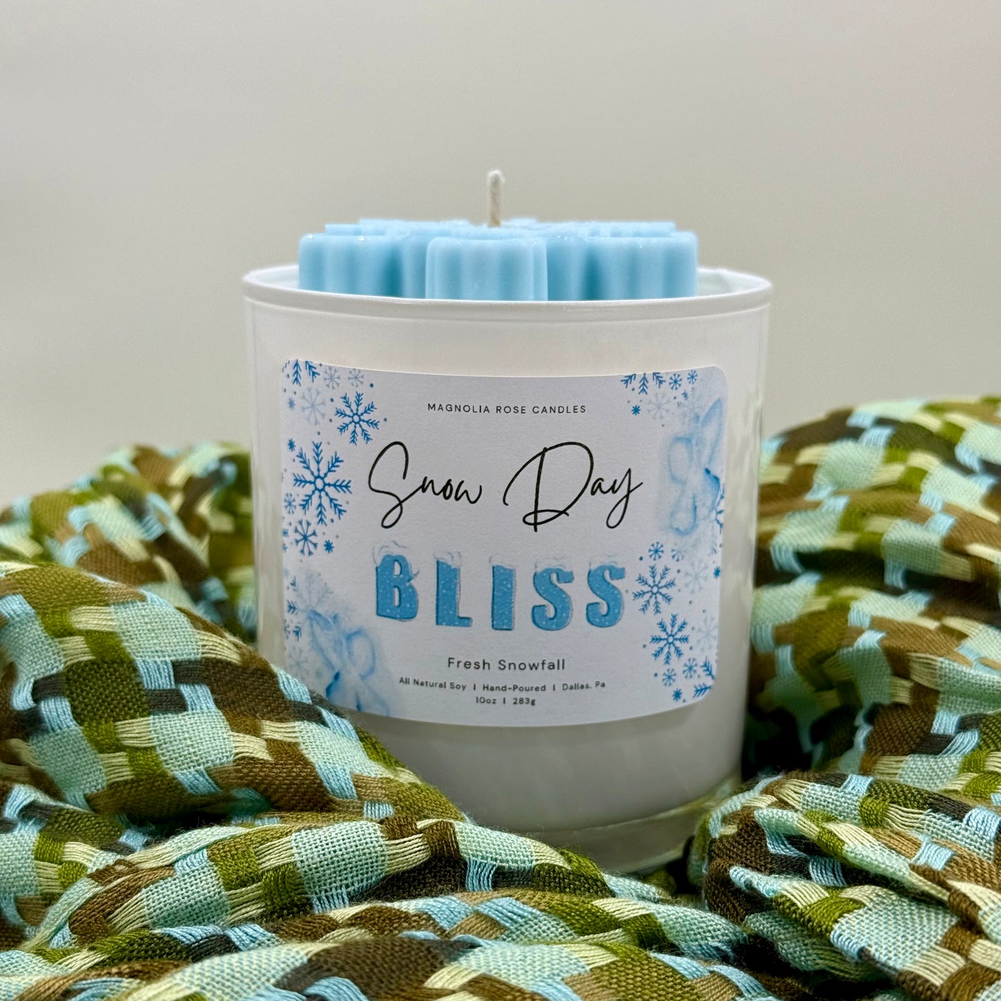 “Snow Day Bliss” - Fresh Snowfall