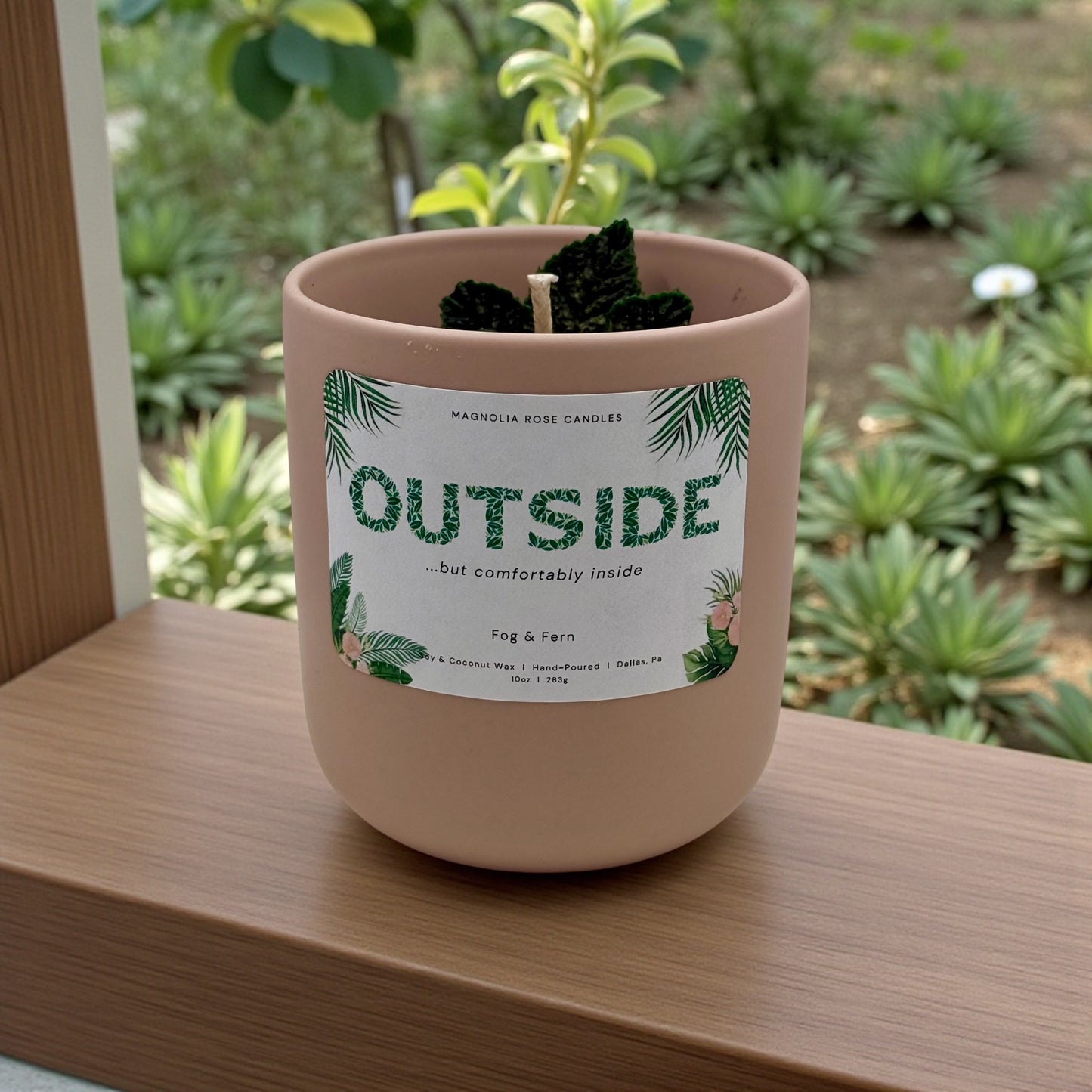 Outside…but Comfortably inside - Fog & Fern